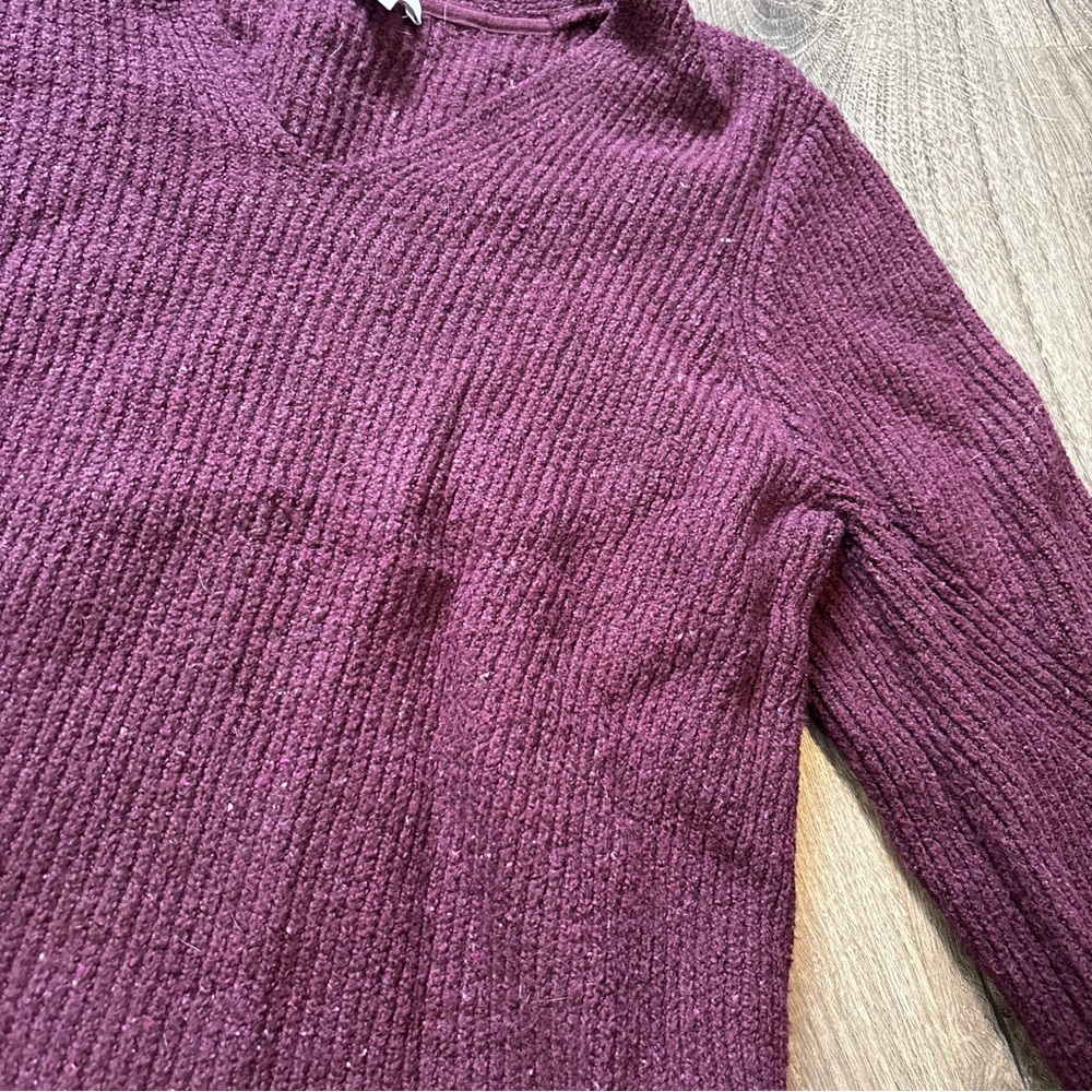 J. Jill Deep Purple/Burgundy V-Neck Sweater - Picture 2 of 5